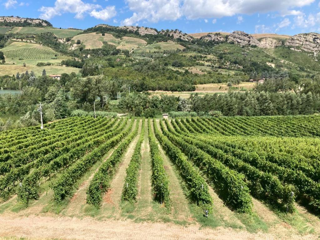Ca' Vanello Borgo Tossignano Esterno foto